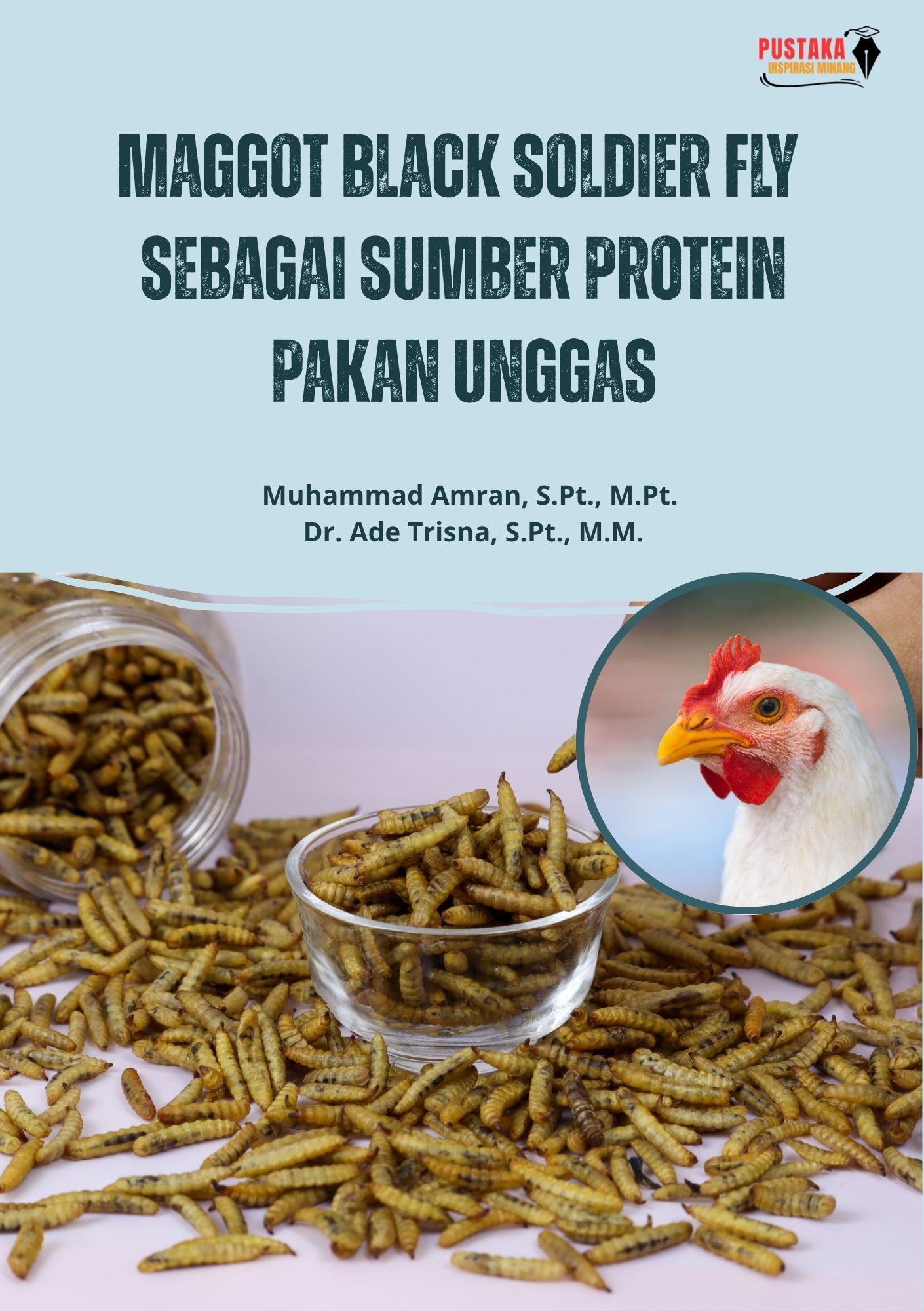 Maggot Black Soldier Fly Sebagai Sumber Protein Pakan Unggas